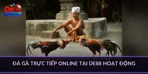Đá gà trực tiếp online tại DE88 hoạt động như thế nào
