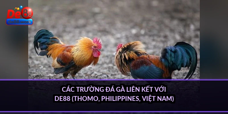 Các trường đá gà liên kết với DE88 (Thomo, Philippines, Việt Nam)