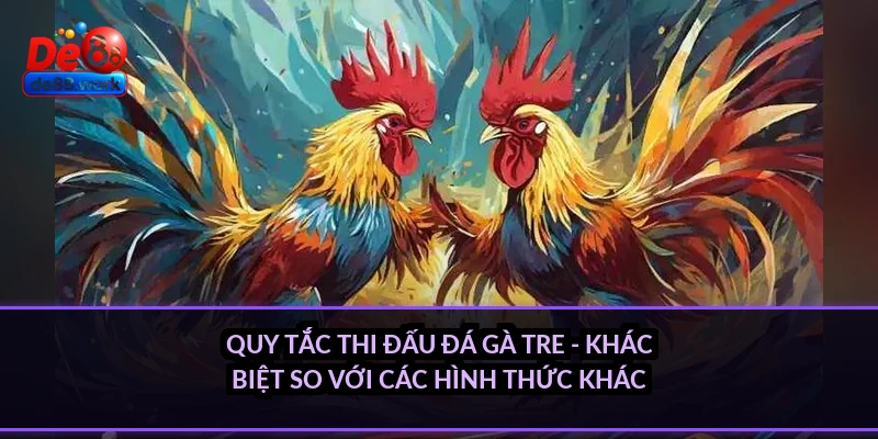 Quy tắc thi đấu đá gà tre - khác biệt so với các hình thức khác