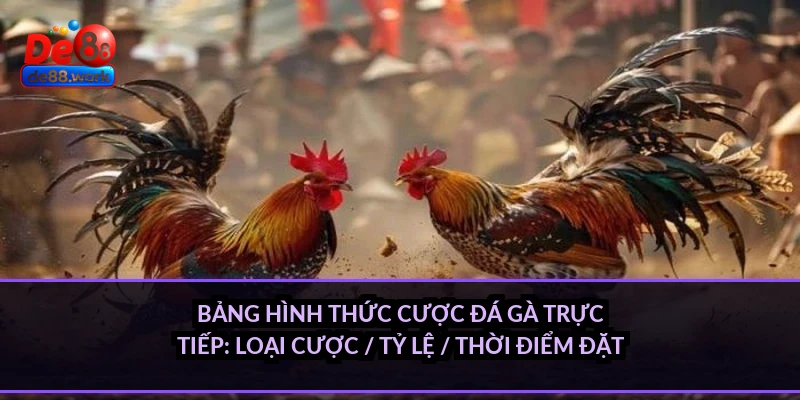 Bảng hình thức cược đá gà trực tiếp: loại cược / tỷ lệ / thời điểm đặt