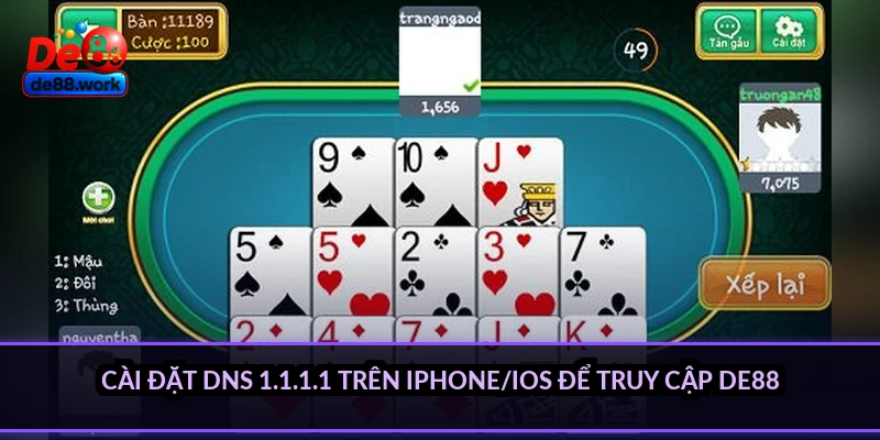 Cài đặt DNS 1.1.1.1 trên iPhone/iOS để truy cập DE88