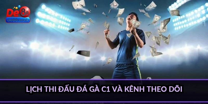 Lịch thi đấu đá gà C1 và kênh theo dõi