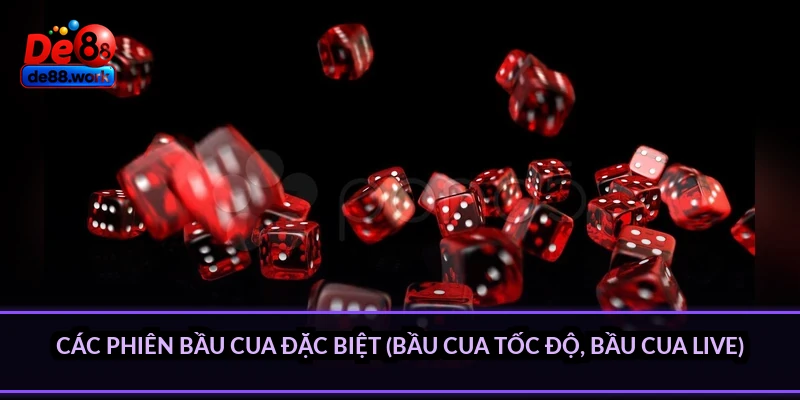 Các phiên Bầu Cua đặc biệt (Bầu Cua tốc độ, Bầu Cua live)