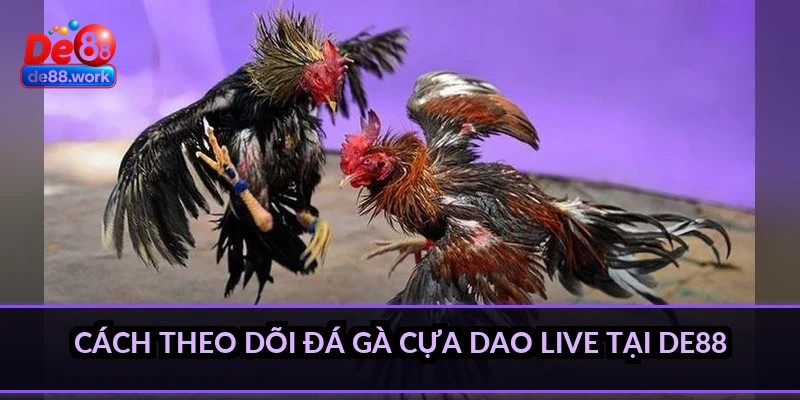 Cách theo dõi đá gà cựa dao live tại DE88